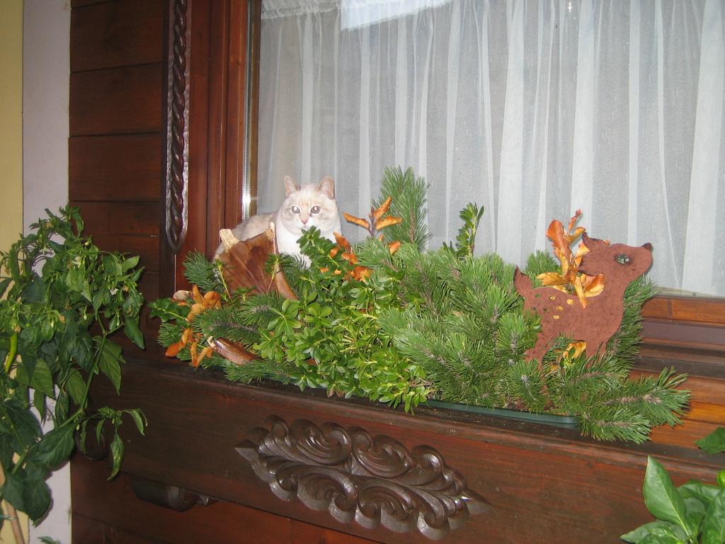Ferienwohnung Haus Rosswiese Strobl Exterior foto